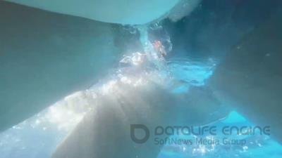 Vanessa Jhons - QUINTETO arrives at the POOL [FullHD 1080P]